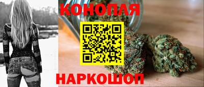 МДПВ Татарск