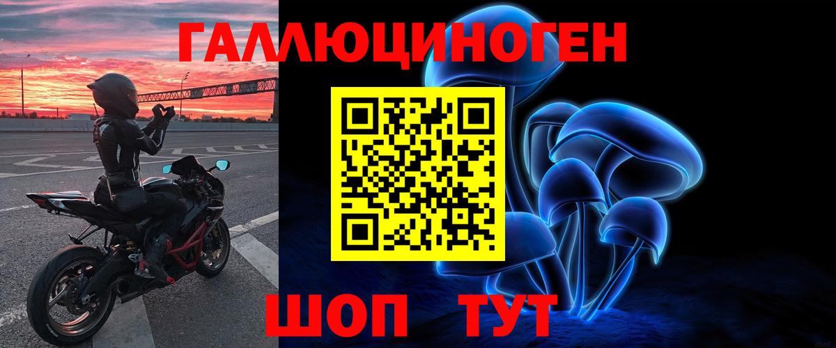 Галлюциногенные грибы Psilocybe Нижний Тагил